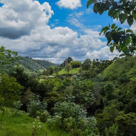Hostal Rural La Montana Alquiyapura サレント エクステリア 写真