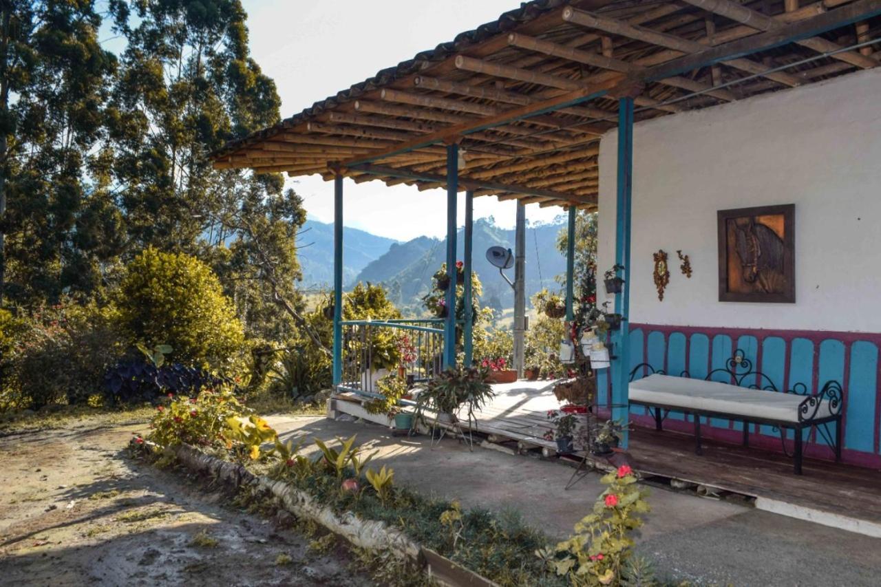 Hostal Rural La Montana Alquiyapura サレント エクステリア 写真