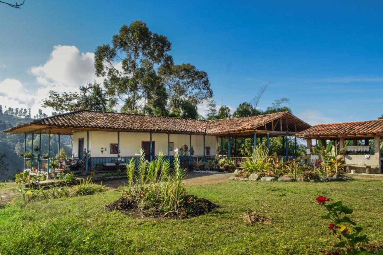 Hostal Rural La Montana Alquiyapura サレント エクステリア 写真