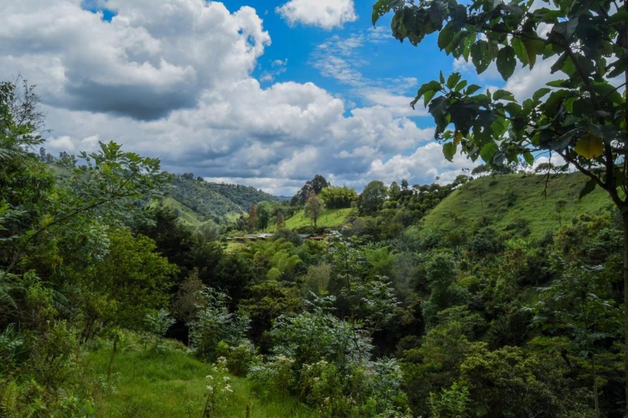 Hostal Rural La Montana Alquiyapura サレント エクステリア 写真