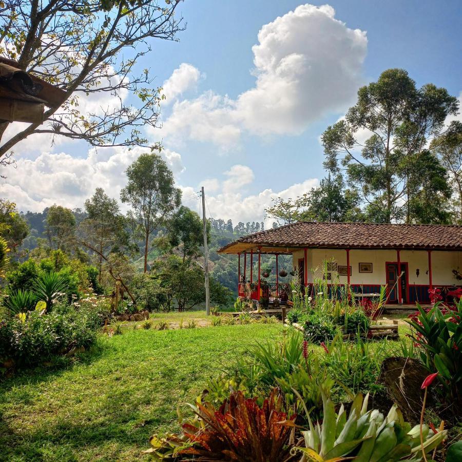 Hostal Rural La Montana Alquiyapura サレント エクステリア 写真